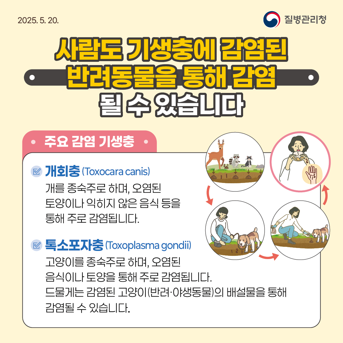기생충 감염병 예방수칙 안내