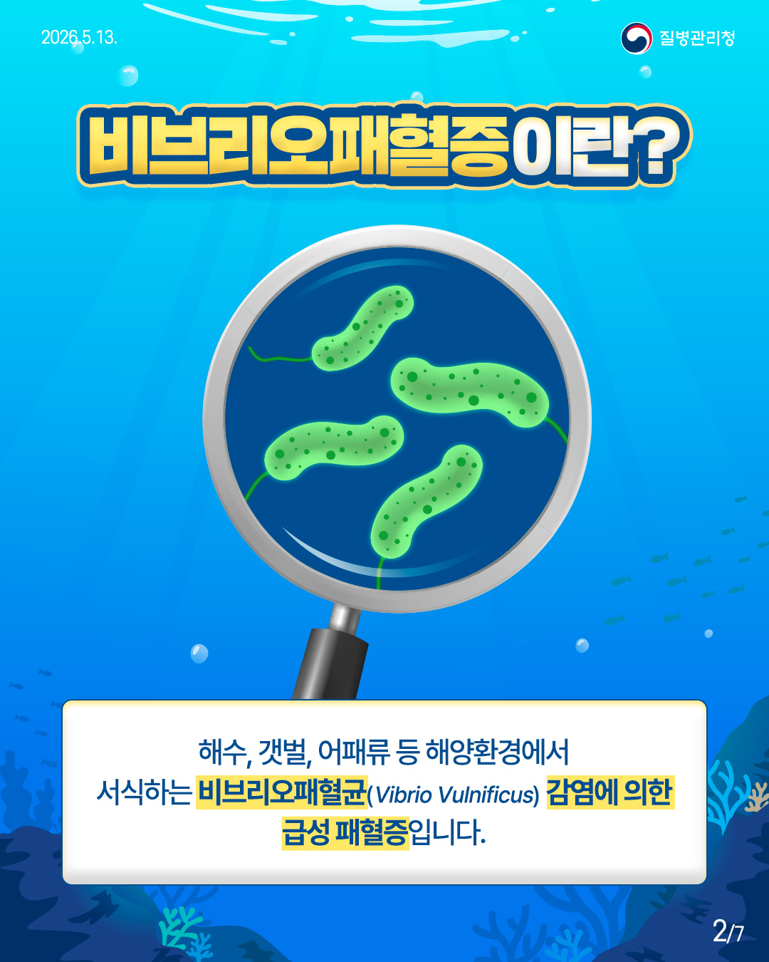 비브리오패혈증, 함께 예방해요!