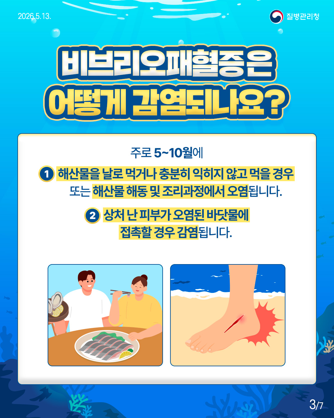 비브리오패혈증, 함께 예방해요!